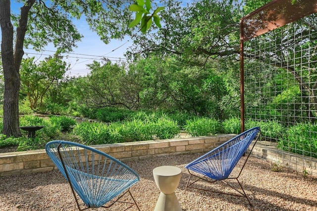 1213 Falcon Ledge Dr, Austin, TX 78746 - photo 4