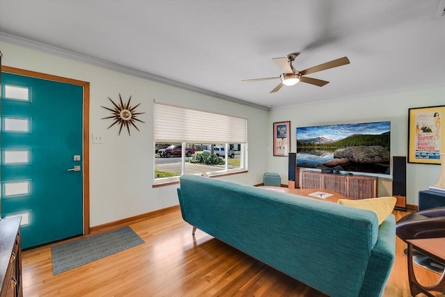 living area with a ceiling fan, ornamental molding, and light wood-type flooring