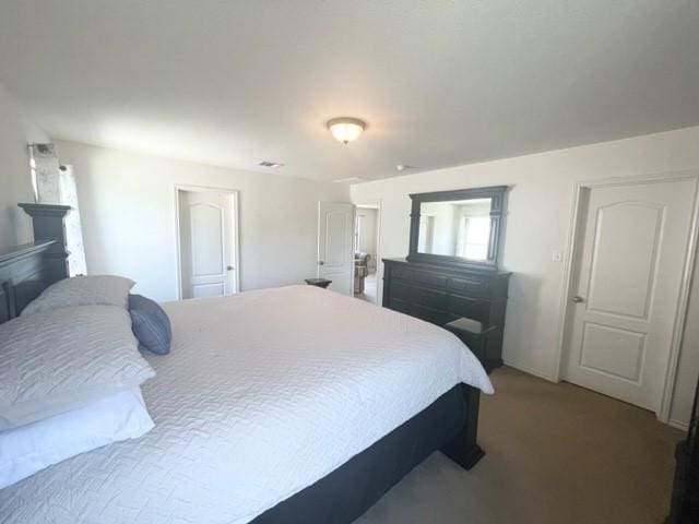 903 Grand Teton Trl, Taylor, TX 76574 - view of carpeted bedroom