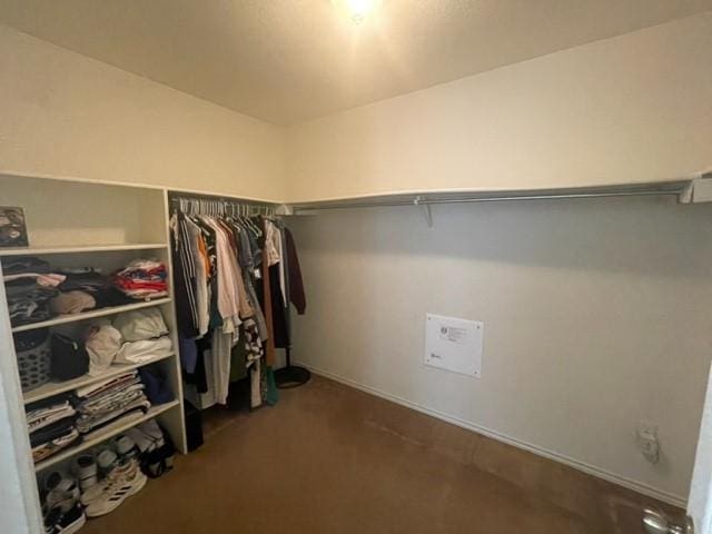 walk in closet with carpet