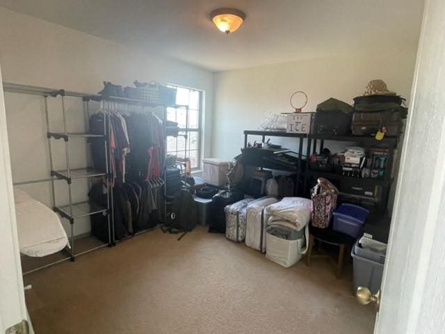 903 Grand Teton Trl, Taylor, TX 76574 - view of storage area