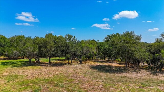 420 Blanco River Ranch Rd, San Marcos, TX 78666 - photo 8