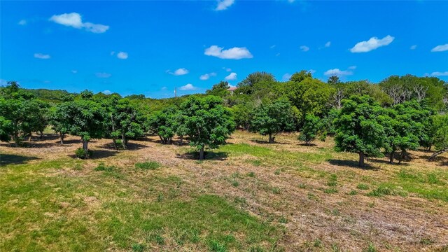 420 Blanco River Ranch Rd, San Marcos, TX 78666 - photo 9