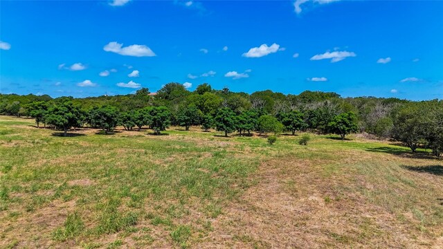 420 Blanco River Ranch Rd, San Marcos, TX 78666 - photo 10