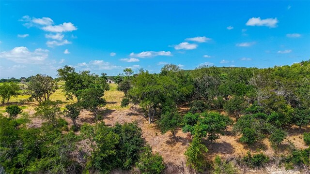 420 Blanco River Ranch Rd, San Marcos, TX 78666 - photo 12