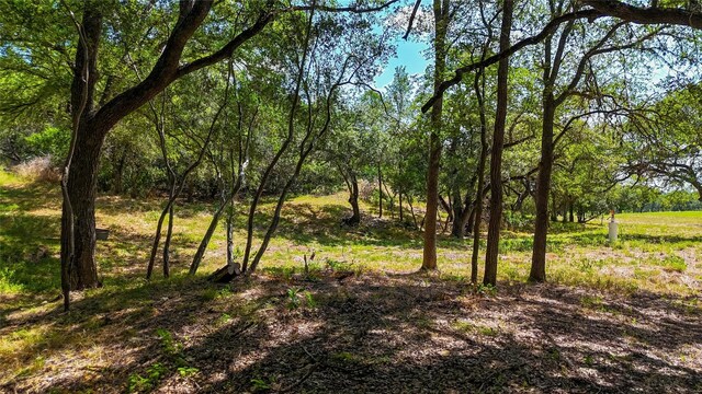 420 Blanco River Ranch Rd, San Marcos, TX 78666 - photo 21
