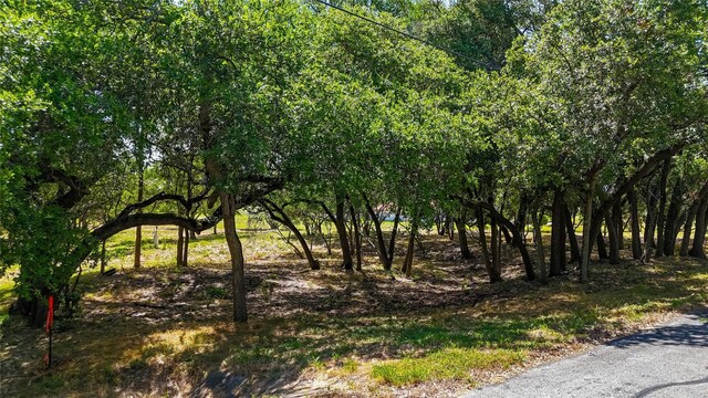 420 Blanco River Ranch Rd, San Marcos, TX 78666 - photo 23