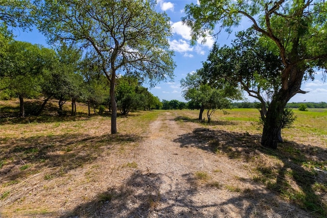 420 Blanco River Ranch Rd, San Marcos, TX 78666 - photo 2