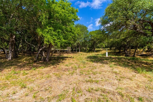 420 Blanco River Ranch Rd, San Marcos, TX 78666 - photo 3