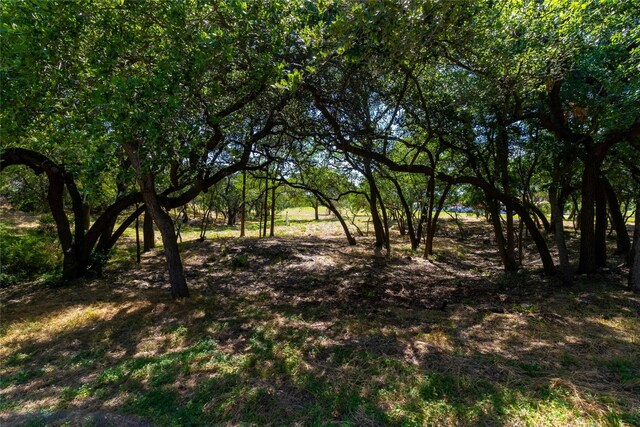 420 Blanco River Ranch Rd, San Marcos, TX 78666 - photo 4