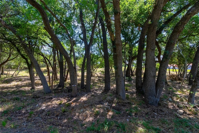 420 Blanco River Ranch Rd, San Marcos, TX 78666 - photo 5
