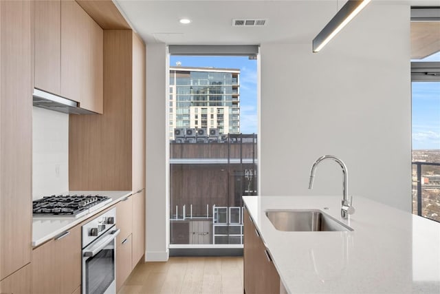 44 E Ave Unit 3107, Austin, TX 78701 - kitchen featuring appliances with stainless steel finishes, a sink, modern cabinets, light wood-type flooring, and under cabinet range hood