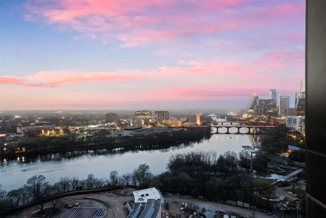 70 Rainey St Unit 1802, Austin, TX 78701 - photo 31