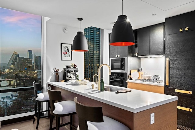kitchen featuring wood finished floors, a sink, black appliances, pendant lighting, and dark cabinets