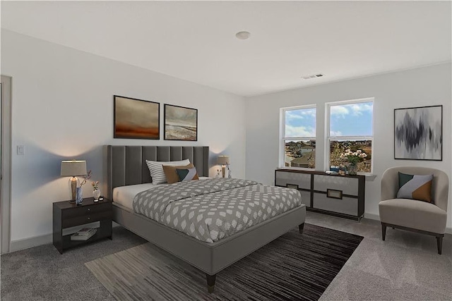 298 Smoke Tree Cir, Dripping Springs, TX 78620 - bedroom with carpet flooring and baseboards