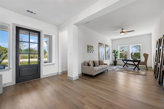 298 Smoke Tree Cir, Dripping Springs, TX 78620 - foyer entrance with wood finished floors and a ceiling fan