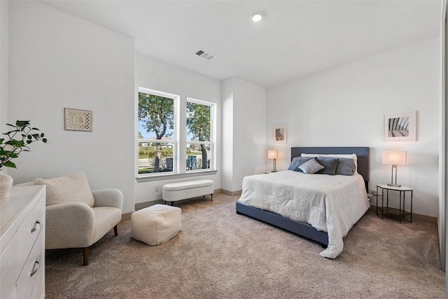 298 Smoke Tree Cir, Dripping Springs, TX 78620 - bedroom featuring carpet floors