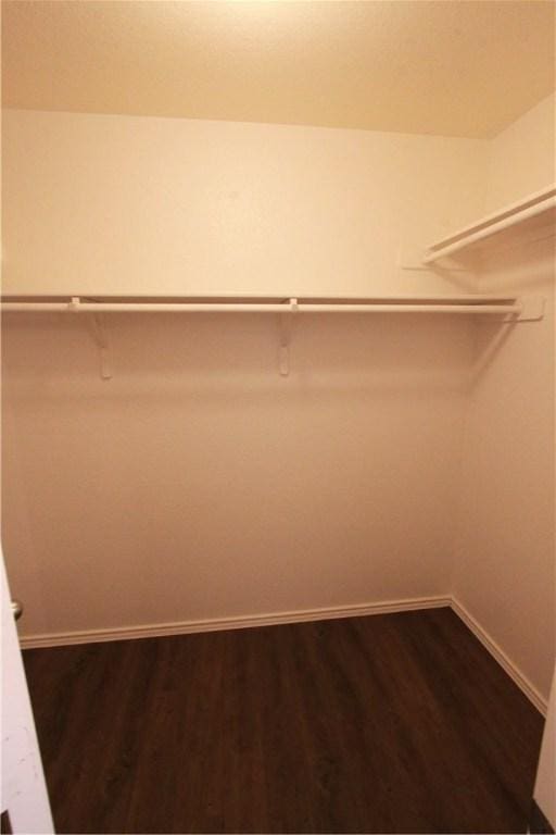 122 Bayliss St, Hutto, TX 78634 - spacious closet with dark wood-style flooring
