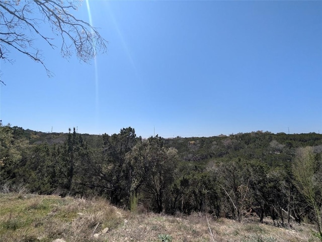 20701 Post Oak Dr, Lago Vista, TX 78645 - photo 10