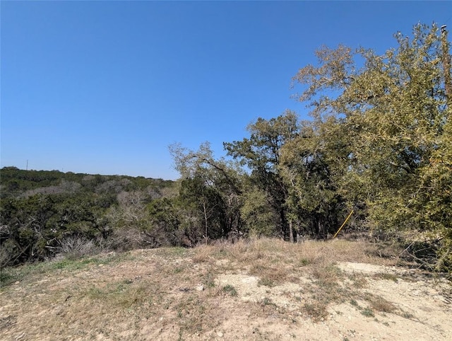 20701 Post Oak Dr, Lago Vista, TX 78645 - photo 12