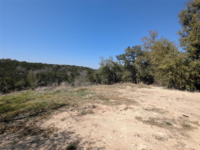 20701 Post Oak Dr, Lago Vista, TX 78645 - photo 4