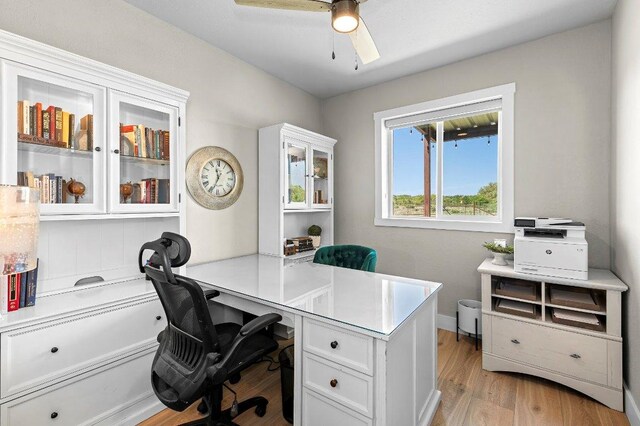 7993 W Fm 487, Florence, TX 76527 - office space with light wood-style floors and ceiling fan