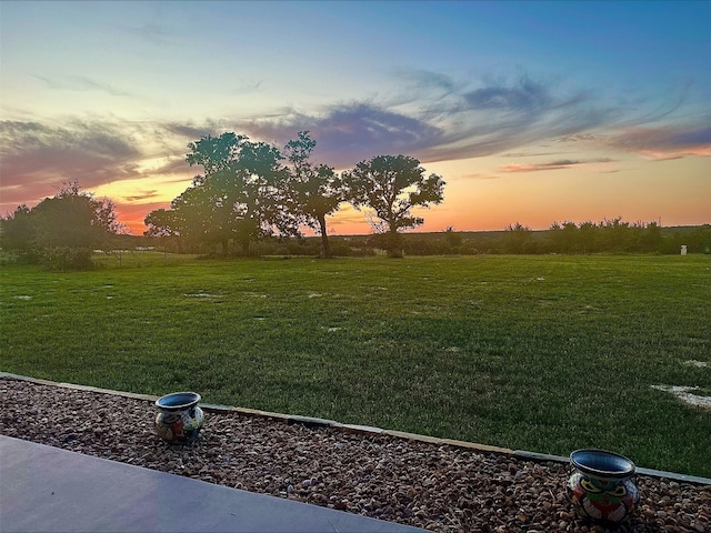 7993 W Fm 487, Florence, TX 76527 - view of grassy yard
