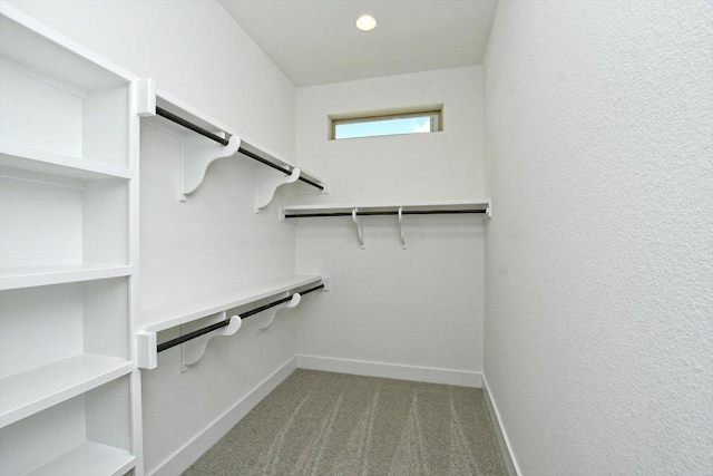 101 Nighthorse, Liberty Hill, TX 78642 - photo 23