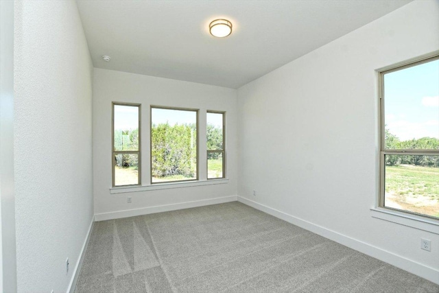 101 Nighthorse, Liberty Hill, TX 78642 - photo 36