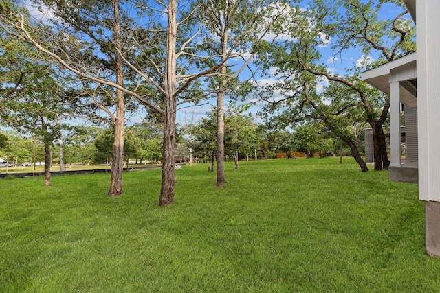208 Ulupau Cir, Bastrop, TX 78602 - view of green lawn
