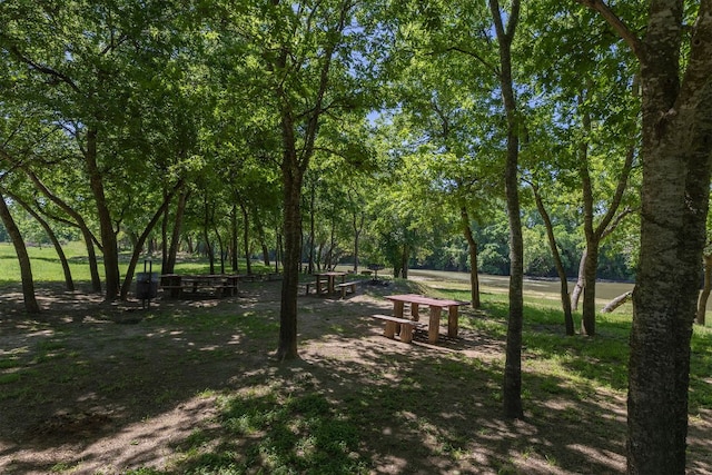 208 Ulupau Cir, Bastrop, TX 78602 - view of community