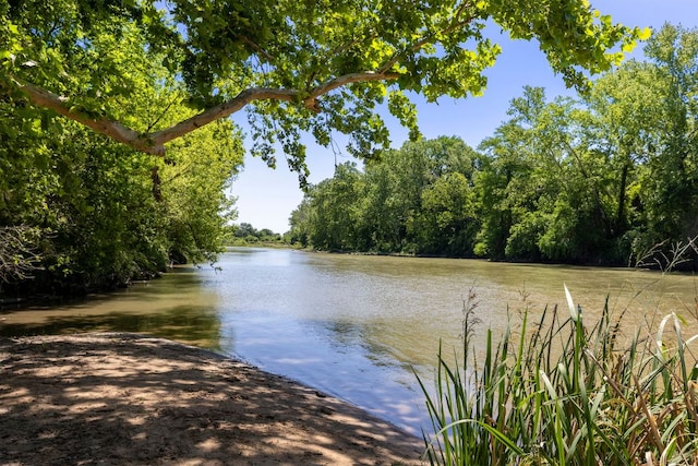 208 Ulupau Cir, Bastrop, TX 78602 - water view with a forest