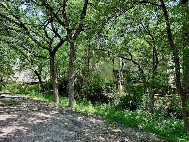 1221 Delano St, Austin, TX 78721 - view of local wilderness featuring a forest view
