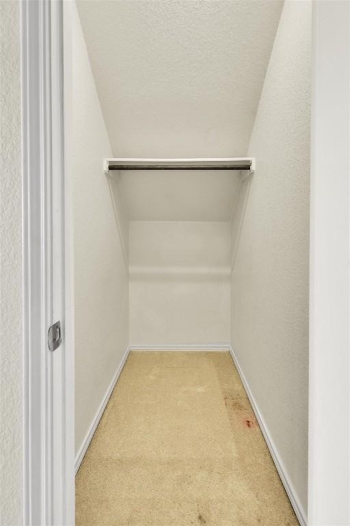 spacious closet with carpet