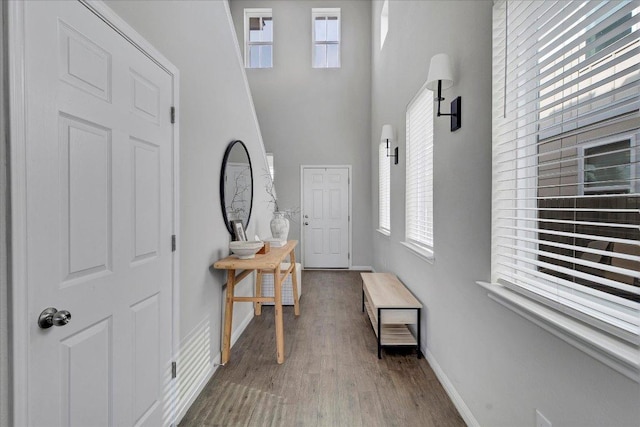entrance foyer with wood finished floors, a towering ceiling, and baseboards