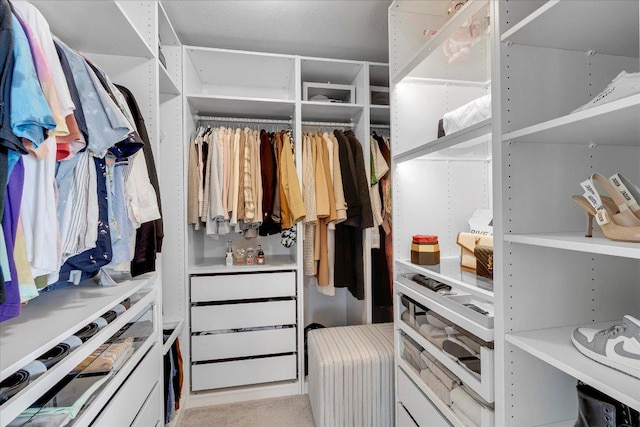 view of walk in closet