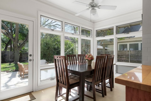 4103 Ave F, Austin, TX 78751 - sunroom with crown molding