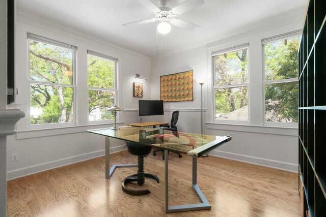4103 Ave F, Austin, TX 78751 - office area with healthy amount of natural light, a ceiling fan, wood finished floors, and crown molding