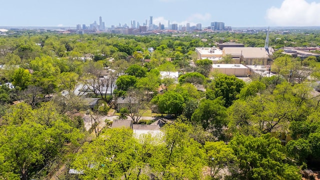 4103 Ave F, Austin, TX 78751 - aerial view of skyline