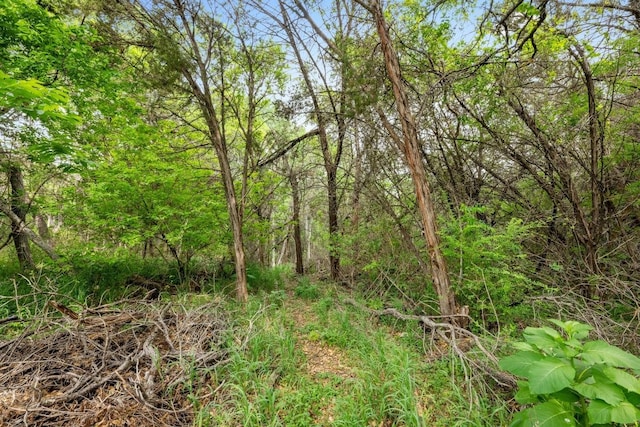 view of landscape with a forest view