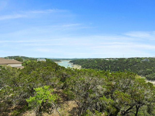 18821 Hidden Ridge Pl, Jonestown, TX 78645 - photo 17