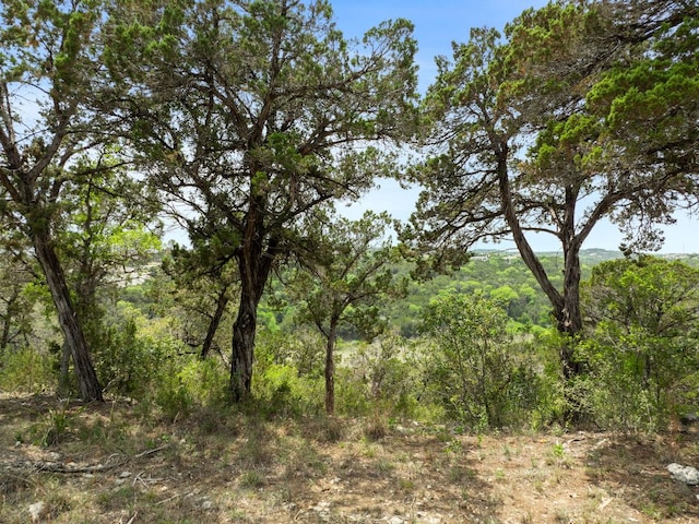 18821 Hidden Ridge Pl, Jonestown, TX 78645 - photo 21