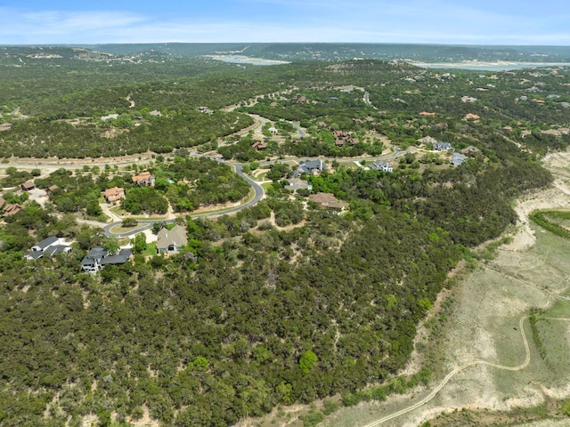 18821 Hidden Ridge Pl, Jonestown, TX 78645 - photo 6