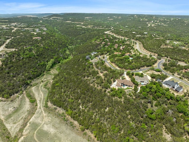 18821 Hidden Ridge Pl, Jonestown, TX 78645 - photo 7