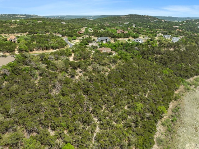 18821 Hidden Ridge Pl, Jonestown, TX 78645 - photo 13