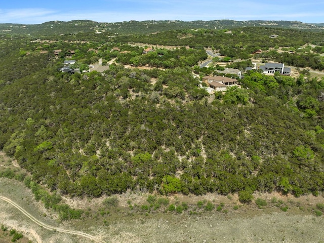 18821 Hidden Ridge Pl, Jonestown, TX 78645 - photo 14