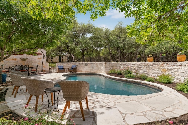 view of swimming pool with a patio area, a fenced backyard, and a fenced in pool