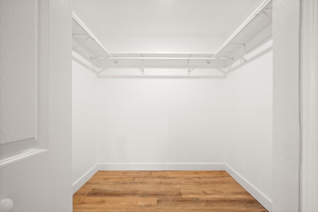 spacious closet with light wood-type flooring