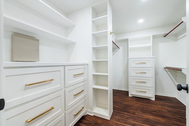 spacious closet featuring dark wood-style flooring