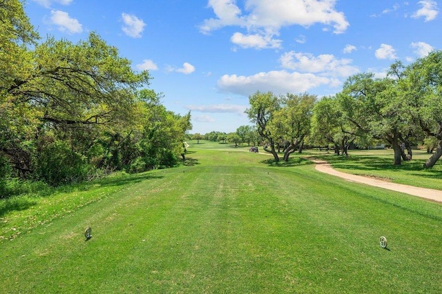 view of home's community with a lawn